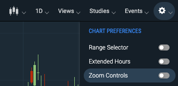 Zoom Controls toggle